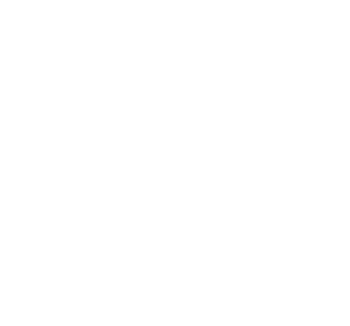 スパゲティと果実